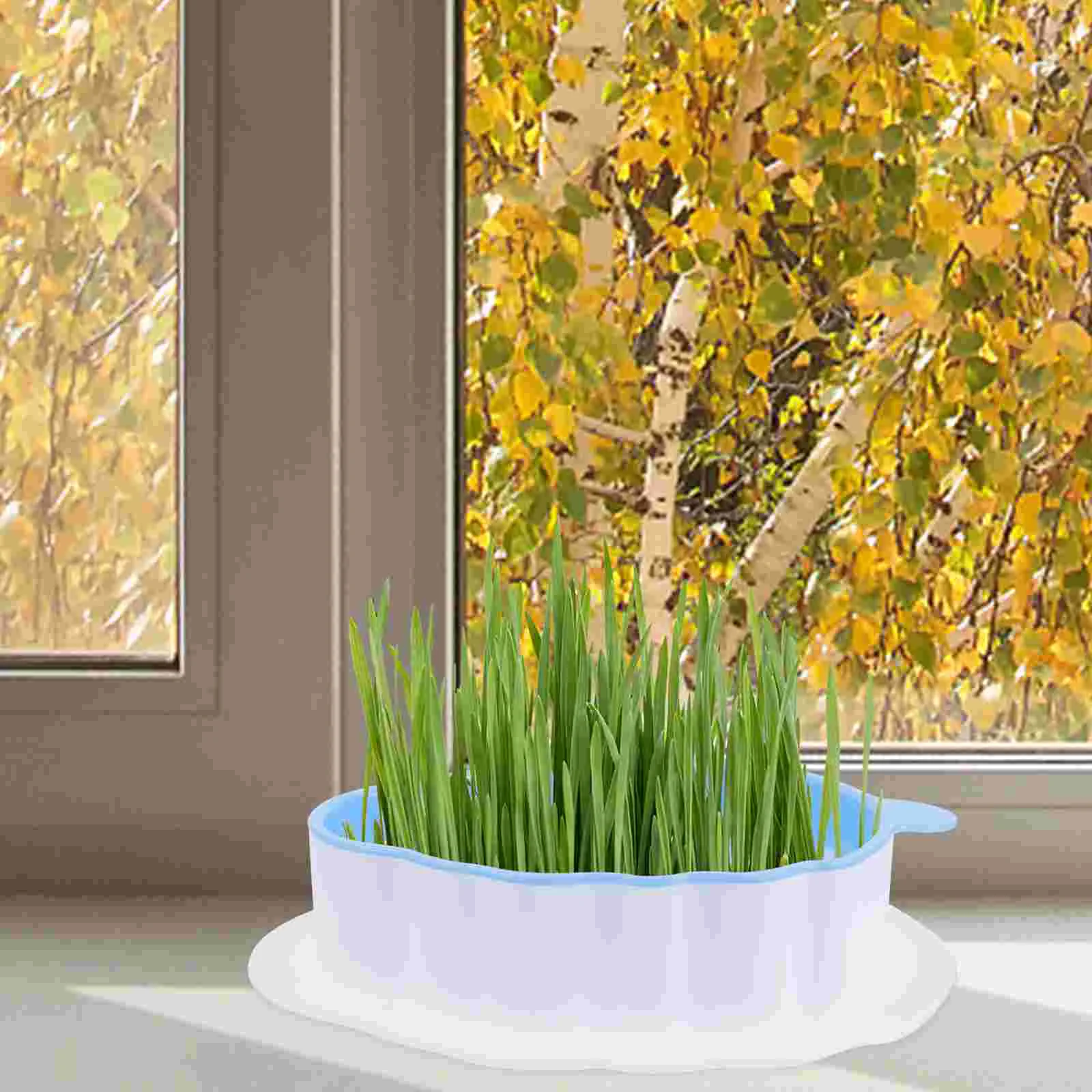 

Cat Grass Planting Box Catnip Soilless Planter Pot Pet Practical For Hydroponic Plastic Creative Convenient Nursery