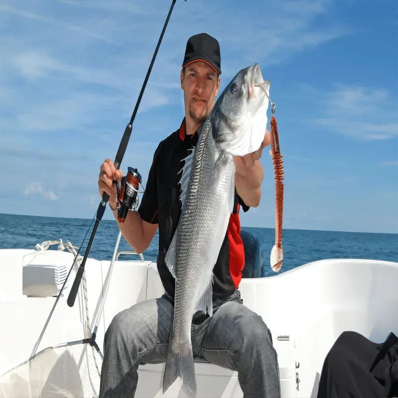 Новый дизайн рыболовная Мягкая приманка в виде дракона 46 секций передвижных