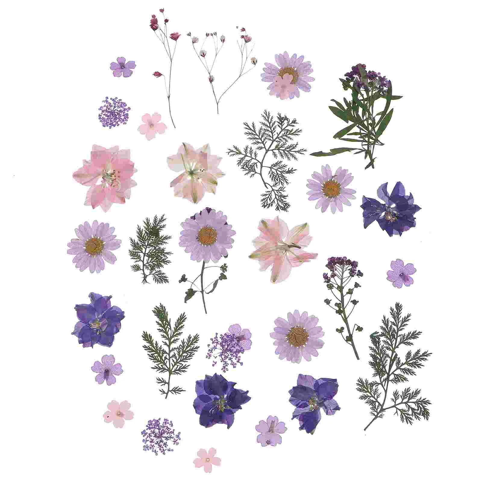

Flowers Driedresin Pressed Flowerdry Leaves Scrapbooking Diy Daisies Natural Hydrangeas Petal Real Nail Sheet Multiple Kit Leafs
