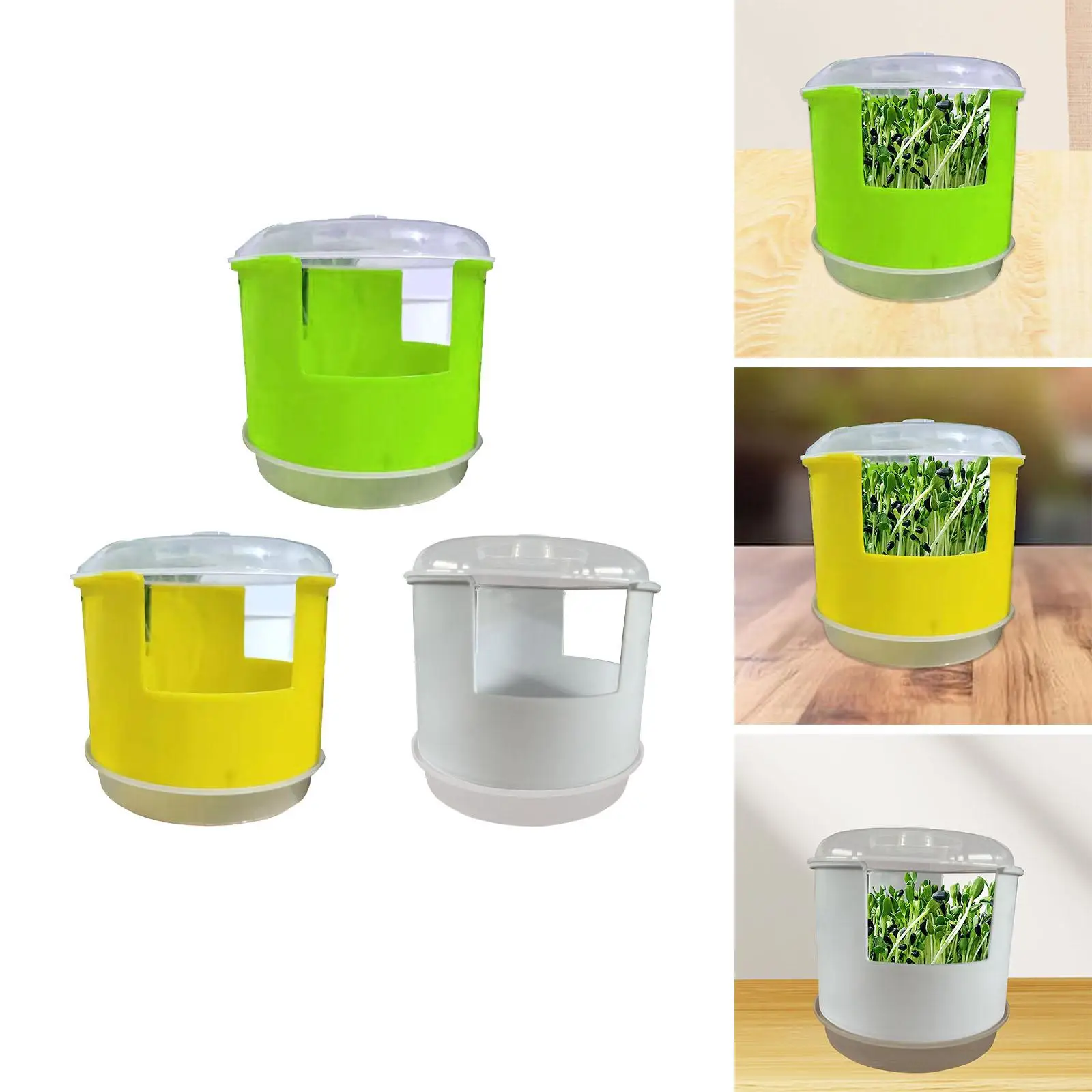 Поднос для проращивания портативный поднос детской комнаты простой в