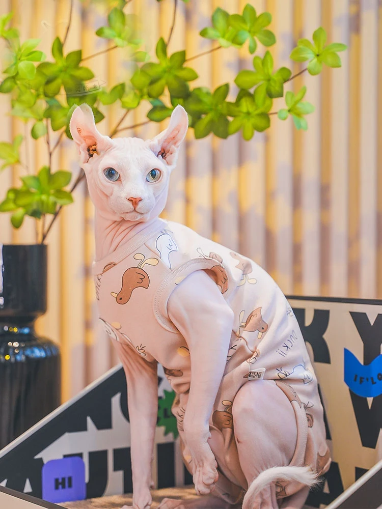 Флисовое пальто для кошек Sphynx одежда лета и весны мягкая толстовка с короткими