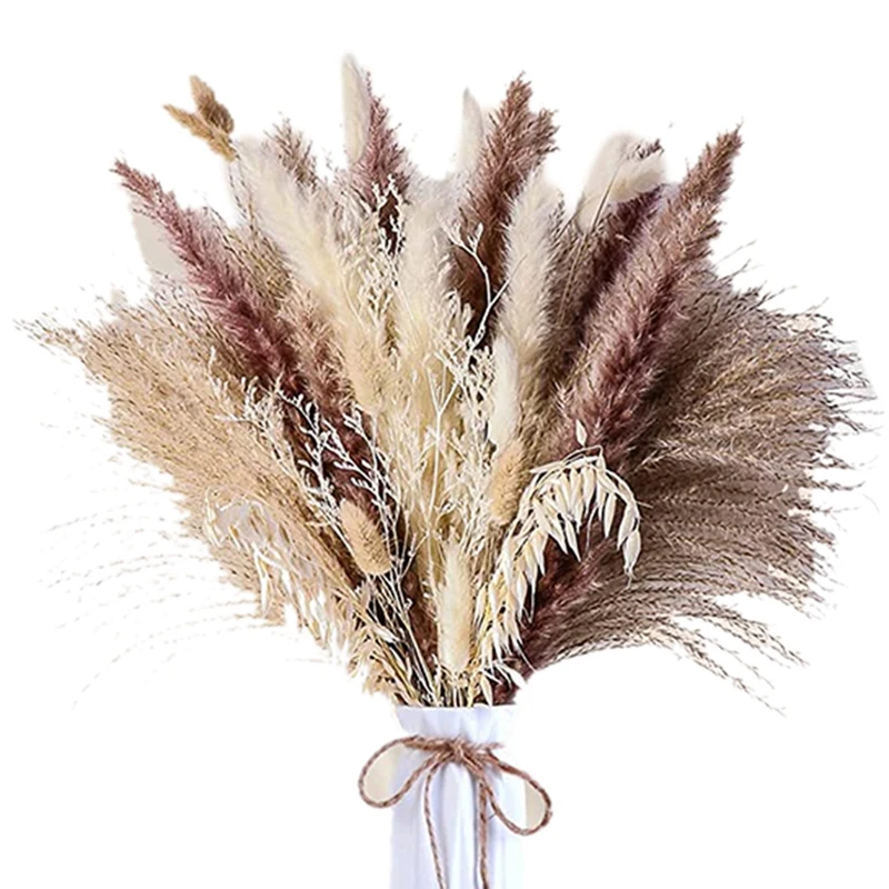 

Pampas Grass Decor 125Pcs 17.7 Inch Natural Dried Pampas Grass Bouquet, Long-Lasting Pompous Grass Dried Flowers Fluffy
