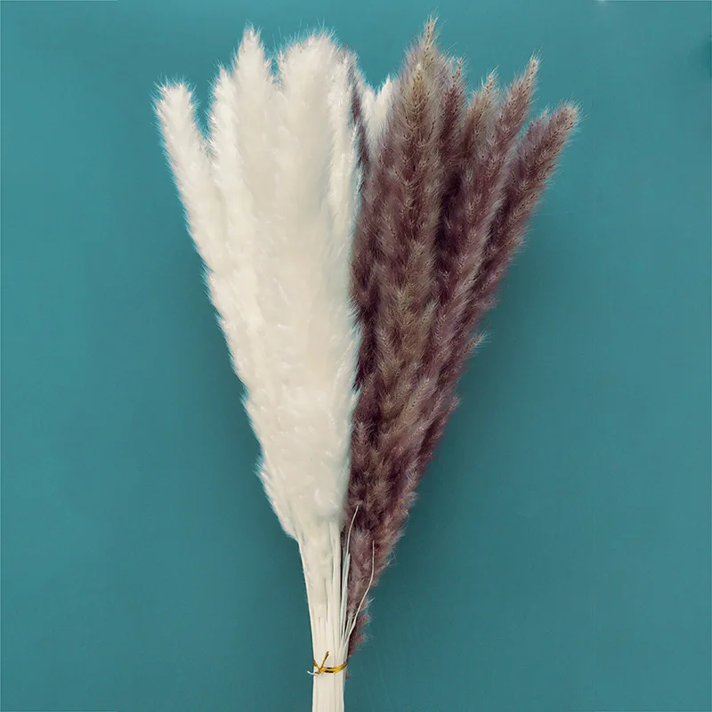 

30PCS Pampas Dried Reed Flower Arrangement Natural Pampas Grass For Modern Home Decoration Party Backdrops Wedding Supplies