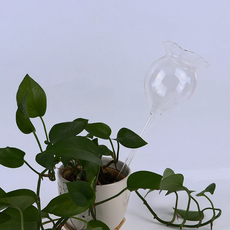 

Automatic Flower Glass Garden Plant Sprinkler Automatic Watering Device