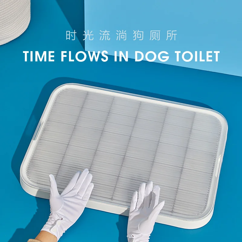 How Do You Clean Up Dog Pee And Poop