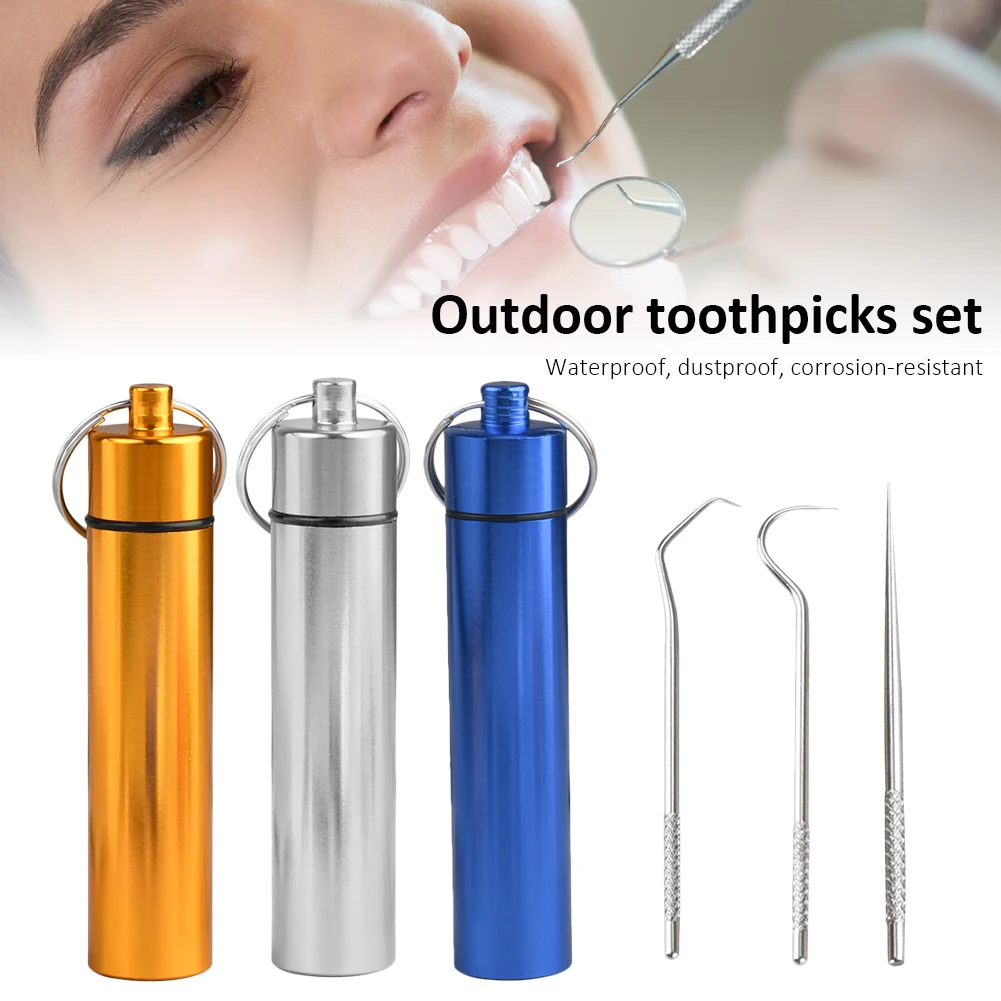 

3Pcs Toothpicks Pocket Set Stainless Steel Tooth Pick Sticks Fruit Fork Reusable Toothpick With Holder For Outdoor Camping