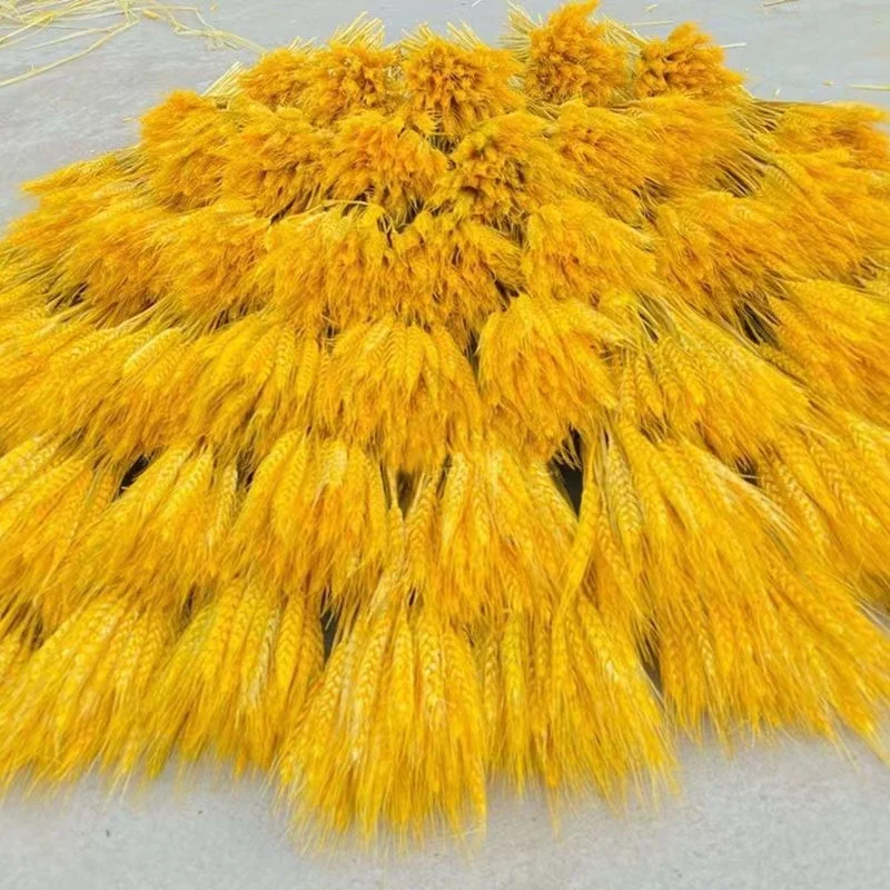 

50 Pcs Natural Wheat Ear Flower Dried Flowers Wedding Decors Small Flowers For Crafts Christmas Decoration Easter Wedding Car De