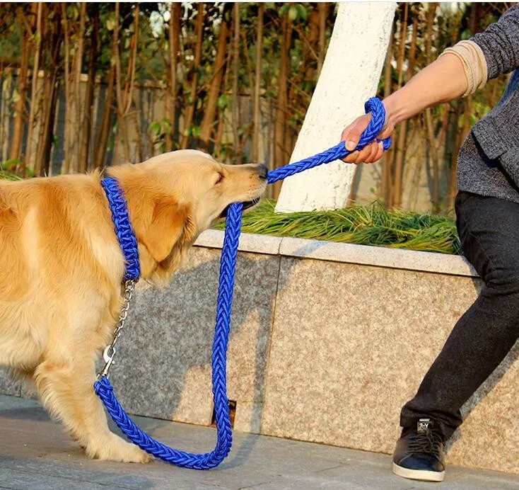 

Double Strand Rope Large Dog Leashes Metal P Chain Dog Leash Running Rope Nylon Safety Leash for Medium Large Dogs Pets 120cm