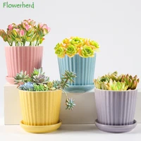 macaron succulent flower pot thumb flower pot ceramic breathable with base personality simple desktop plant pot
