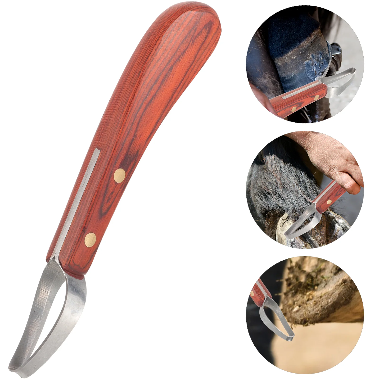 

Horse Hoofing Knife Supply Professional Farrier Tool Ergonomic Wear-resistant Shrub Trimmer