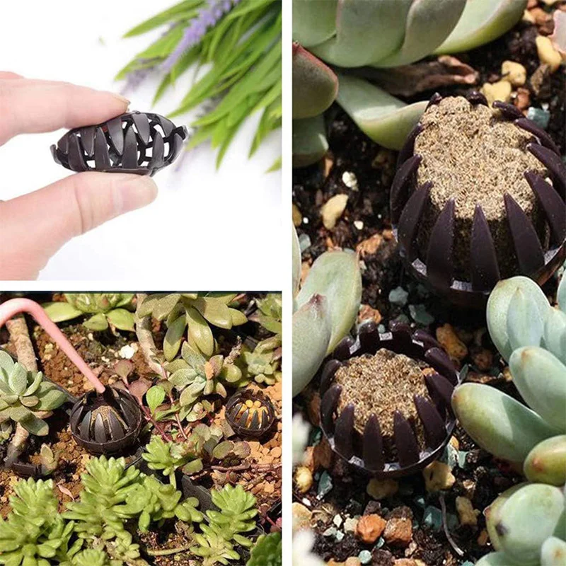 50 шт. корзины для удобрений с шипами