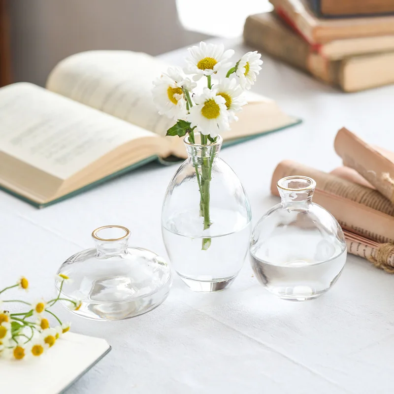 

Classic Vase Top Quality Glass Transparent Hydroponic Vase Living Room Flower Vase Home Decoration Creative Gifts