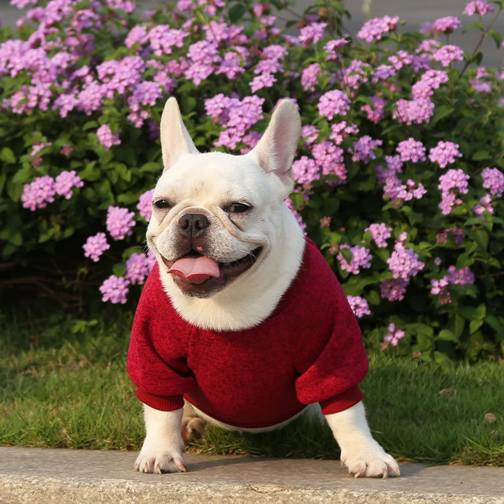 

Pet Dog Sweater Classic Warm Dog Clothes Puppy Pet Cat Clothe Sweater Coat Winter Fashion Soft Small Dogs Dog Clothes Supplies
