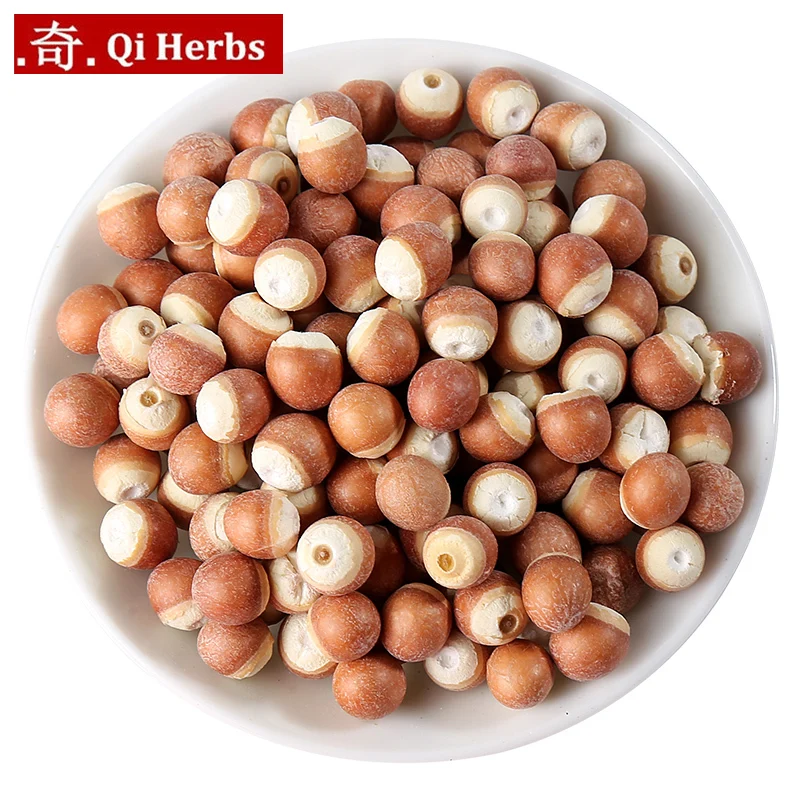 

Семена Qian Shi/Gordon Euryale/euryals