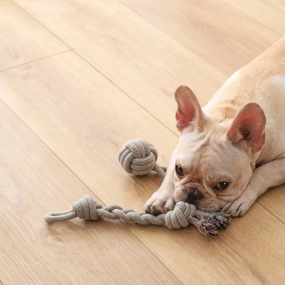 

Pet Dog Toys Molar Knot Bite Resistant Molar Knot Set Establishment Light And Handy Easy Toss Joint Health Material Safety