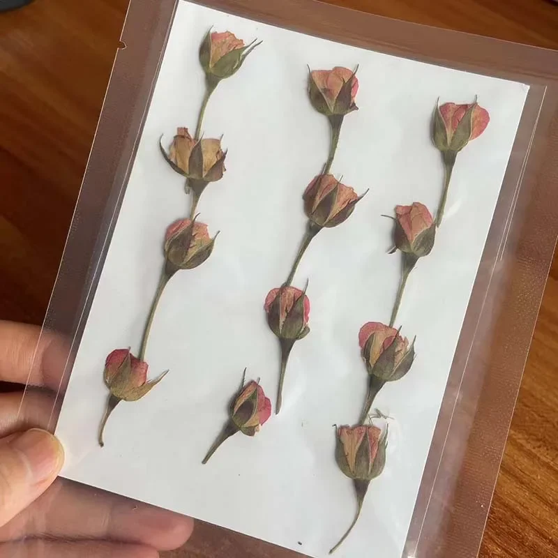 

Натуральные сушеные розы NYAConfetti