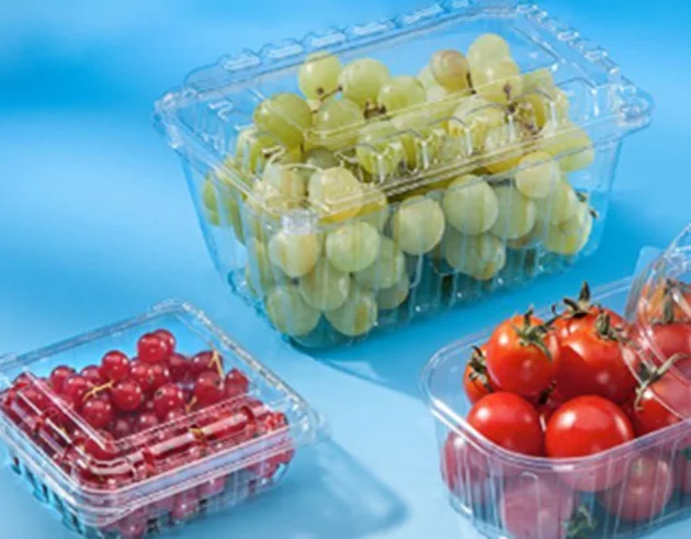 Полностью автоматические пластиковые термоформовочные машины цветочный горшок