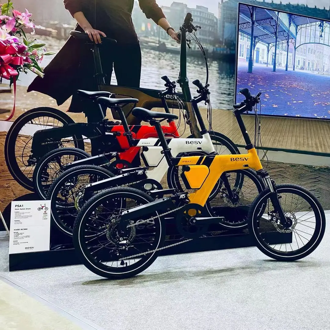 Рисунок 2 - Электрический велосипед PSA1