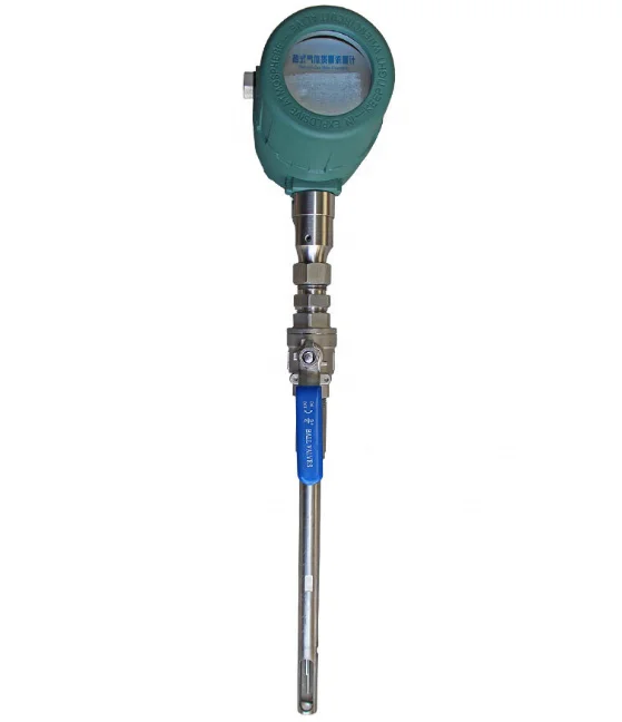 

Industrial Air Thermal Gas Mass Flow Meter Insertion Type