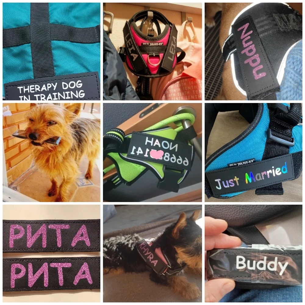 2 шт. светоотражающие этикетки для собак |