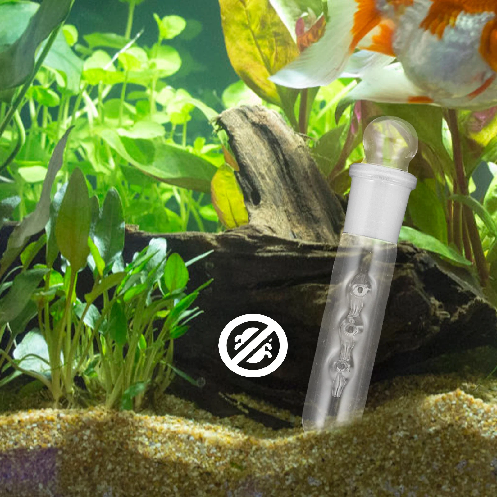 

5 PCS Leech Flatworm Trap Aquarium Snail Trap Remover Fish Tank Flatworm Catcher Glass Planaria Remove Tool