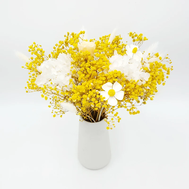 

Nordic Style Babysbreath Gypsophila Dried Flowers Natural Real Plants Festival Home Decoration Crafts