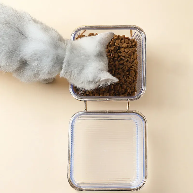 

2023NEW Double Bowl with Stand and Mat Pet Kitten Puppy Transparent Food Feeding Dish Metal Elevated Water Feeder Dog Supplies
