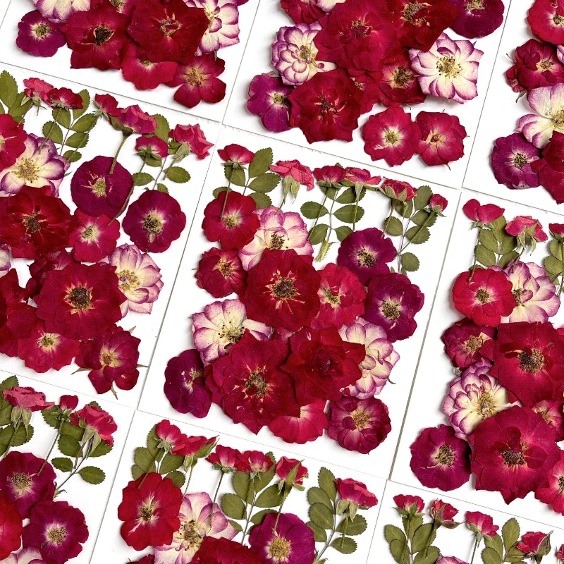 24 шт./пакет рельефная комбинированная Цветочная рамка в виде Розы