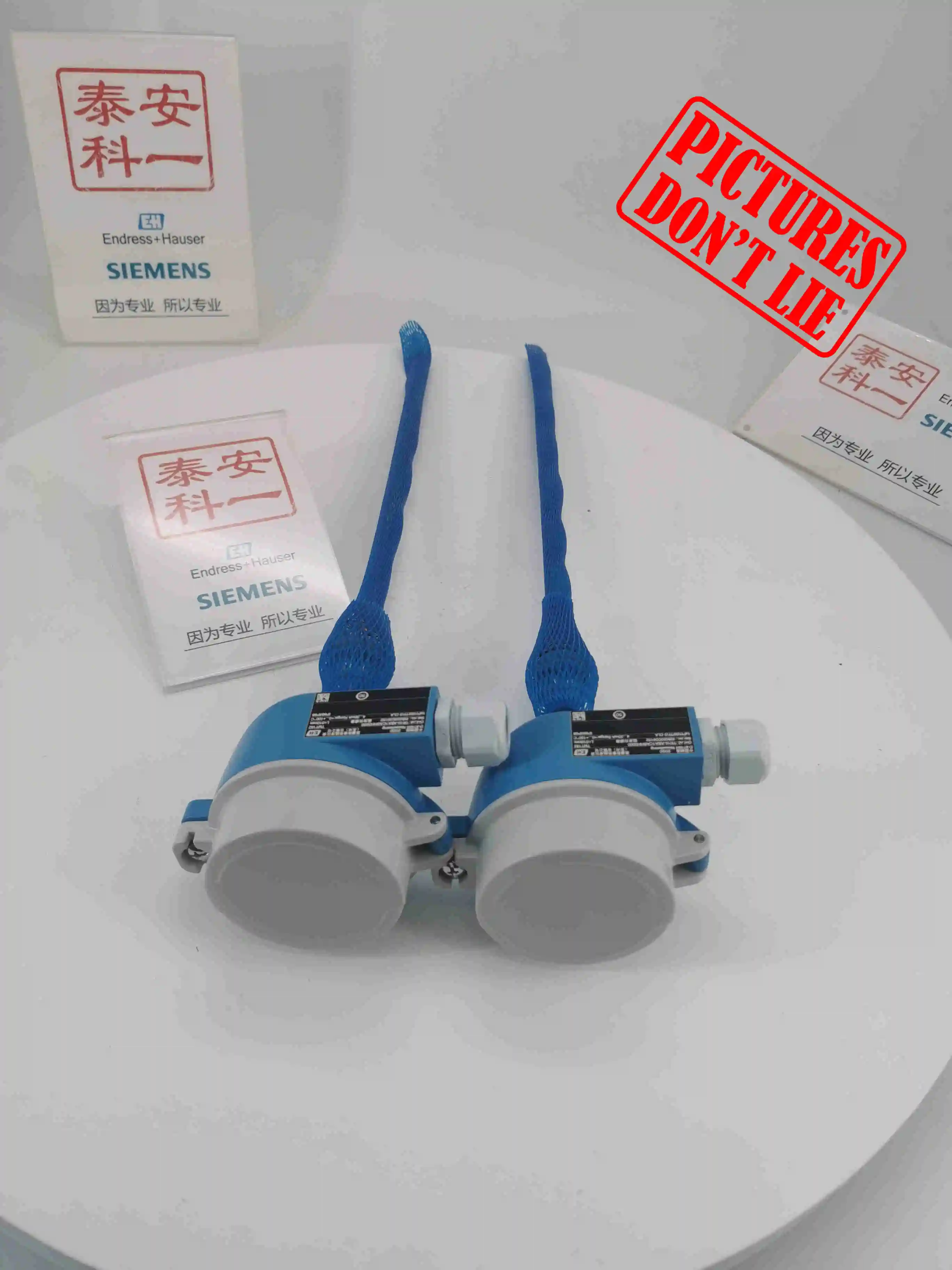 Фото Взрывозащищенный термометр Endress + Hauser Pt100 TR10, модульная температура №5
