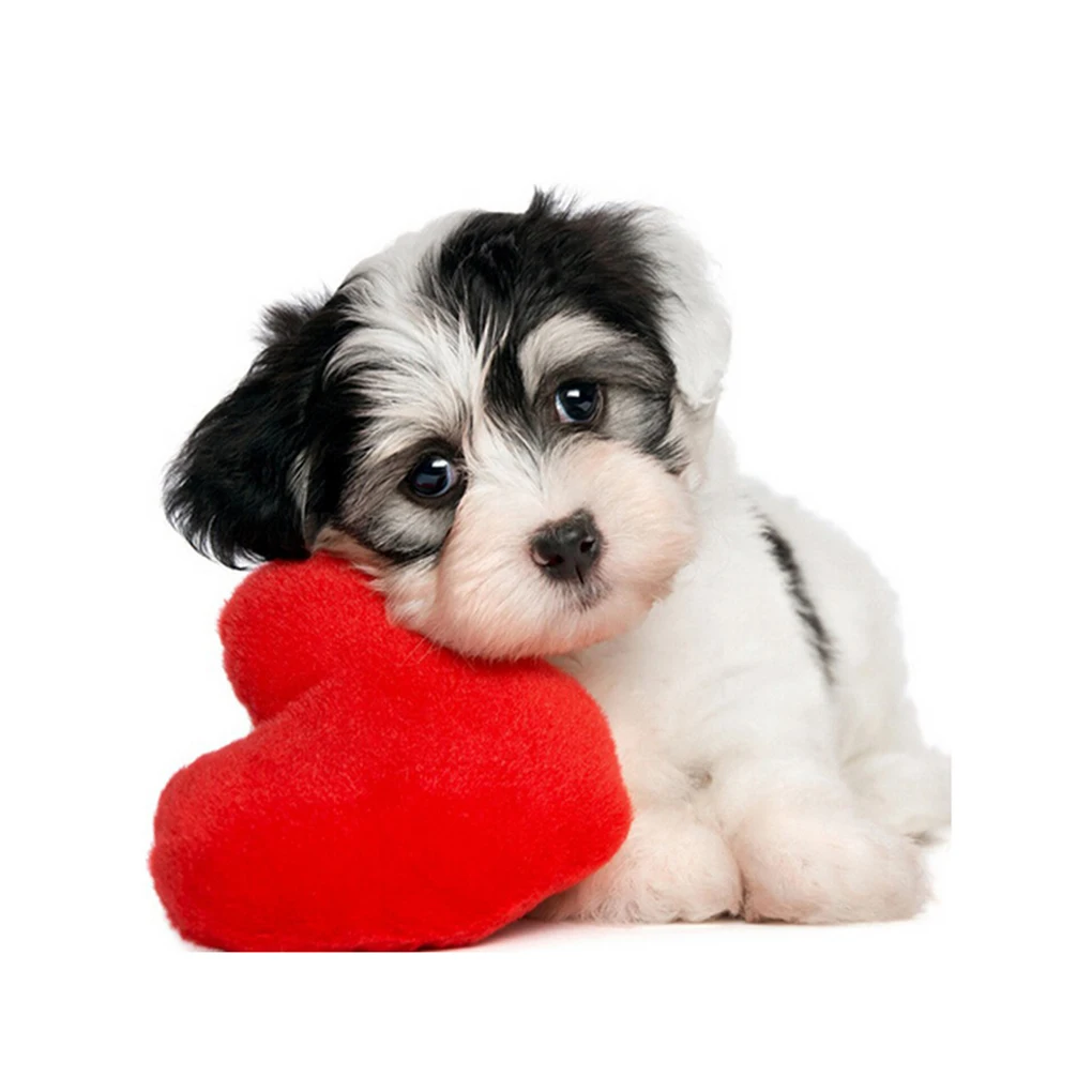 

5D DIY картина из хрусталя и алмазов квадратная Вышивка крестом любовь сердце собаки рисунок вышивка мозаика картина из горного хрусталя пода...