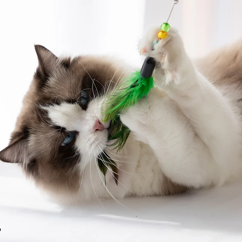 

Funny Kitten Cat Teaser Rod with Feather and Bell Toys For Pet Cats Stick Wire Chaser Wand Toy Interactive Toy Pet supplies