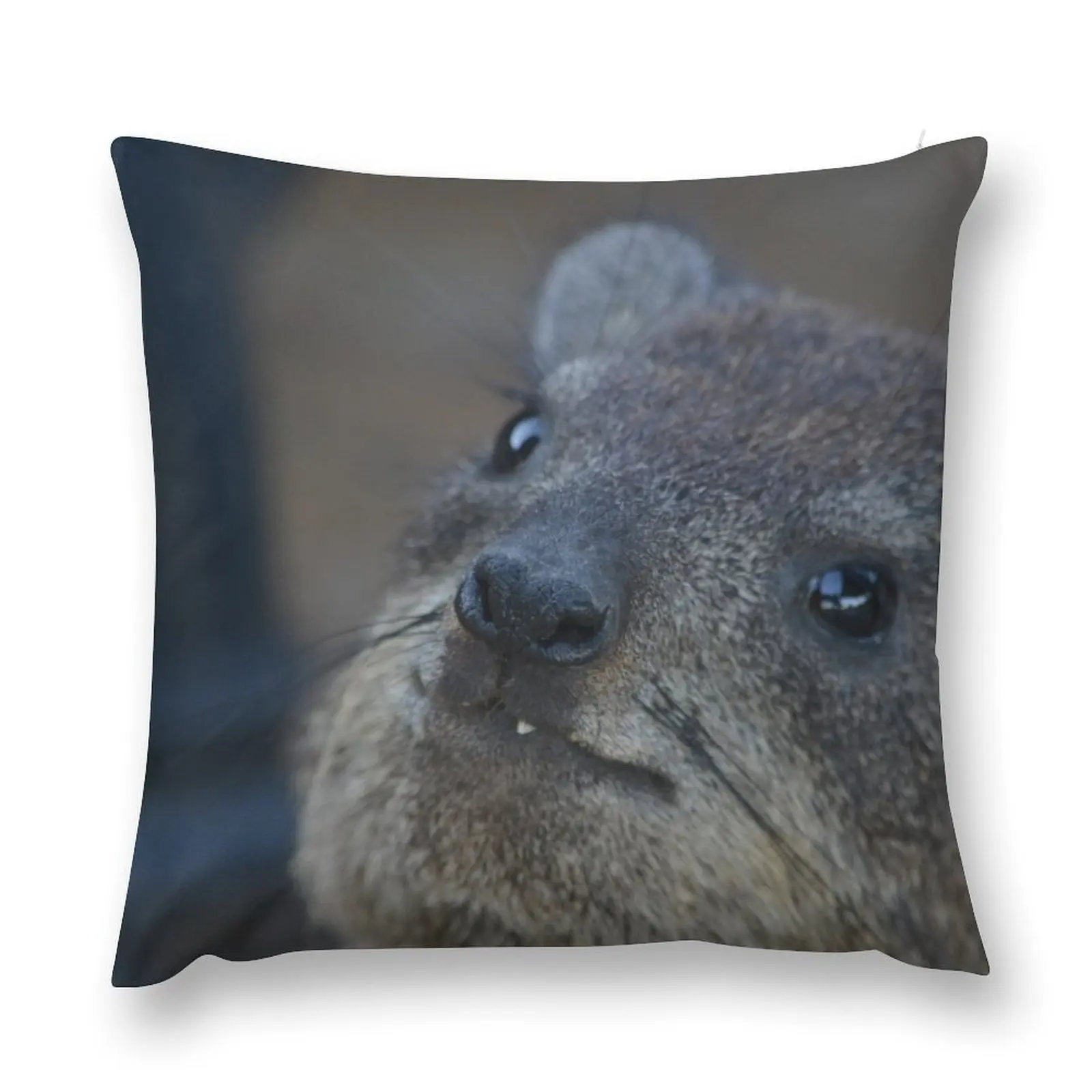 Декоративная подушка Rock Hyrax роскошные наволочки рождественские украшения для