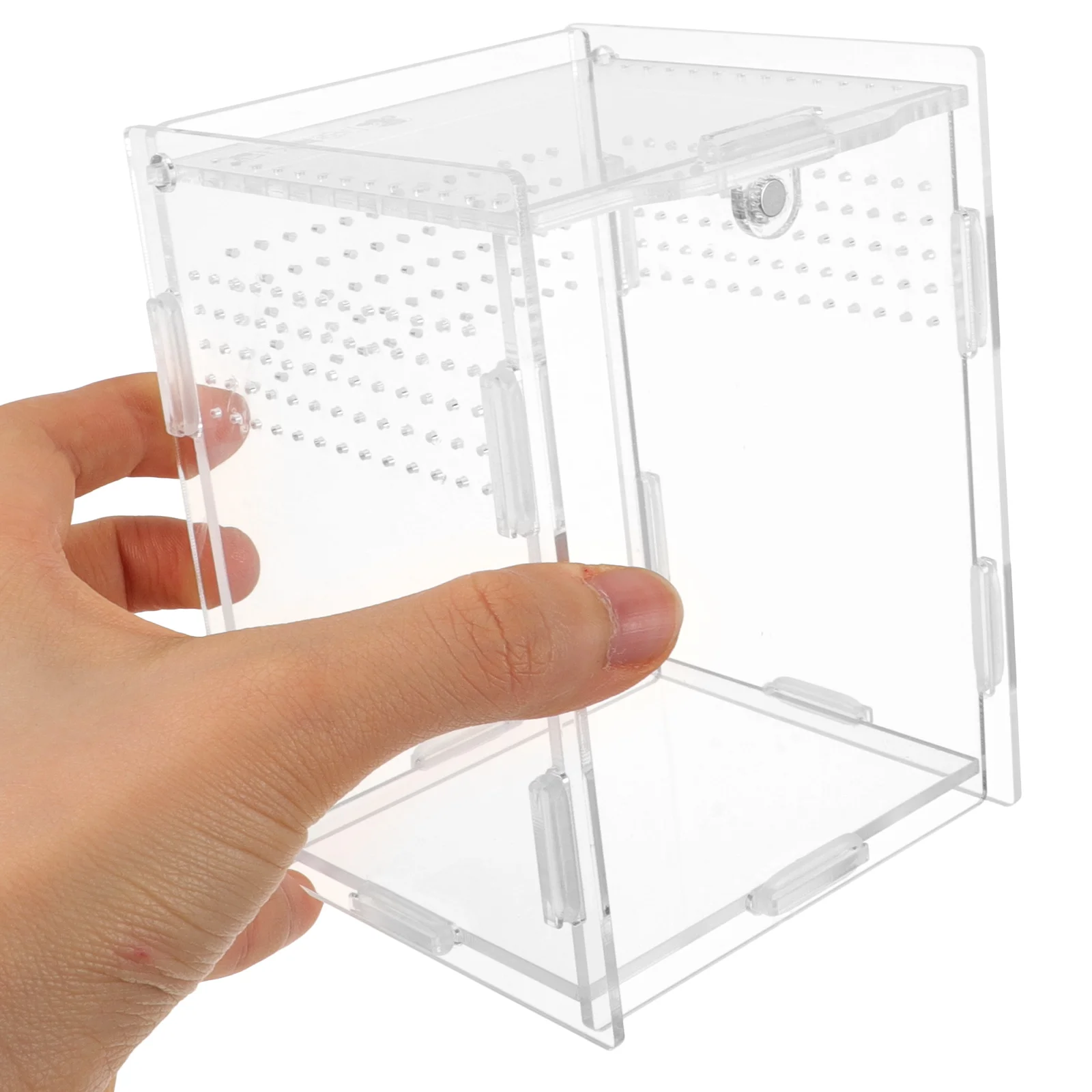 Прозрачные коробки для животных домашних пауков рак-отшельник аквариум