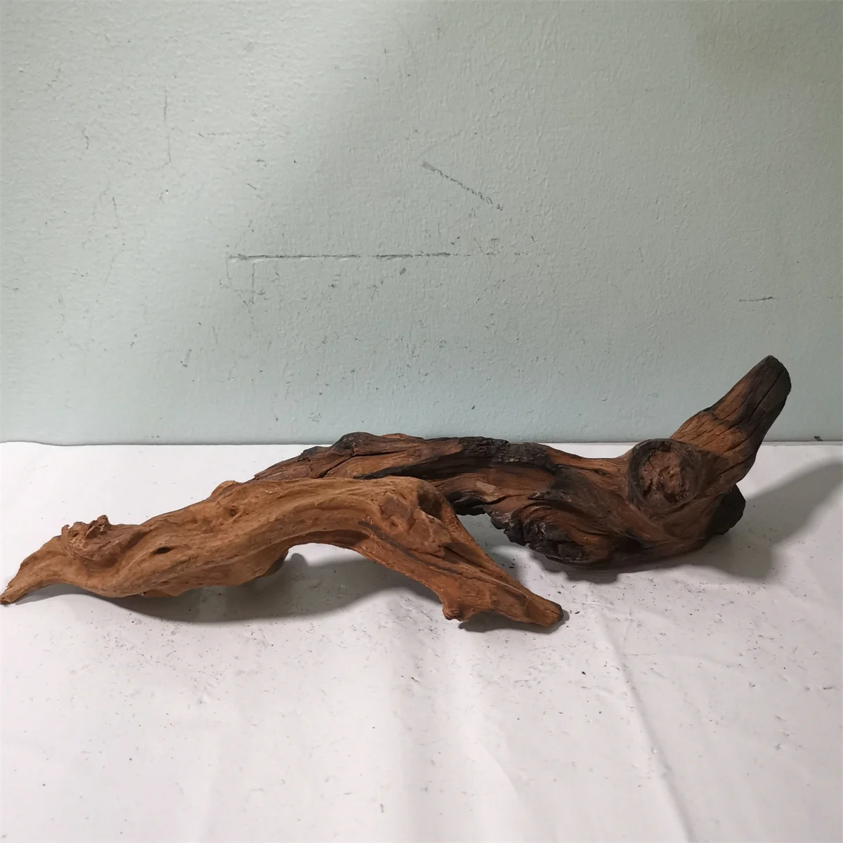 Большого размера для аквариума свисающие ветви 5-30 см