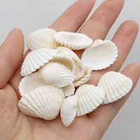 100g natural sea shell conch charms craft fish tank aquarium ornaments shell decor jewelry making earrings bracelet diy accessry