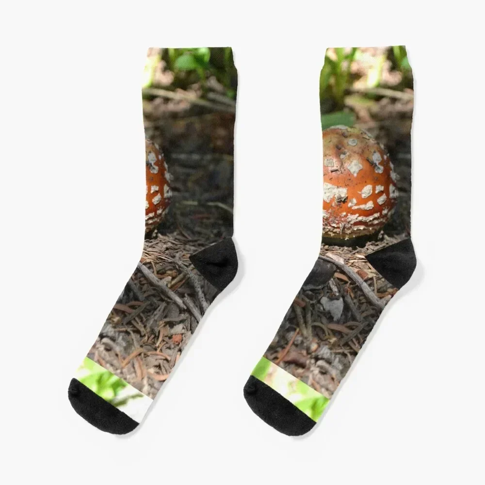 Носки с пышными шариками в горошек мужские нескользящие носки и женские