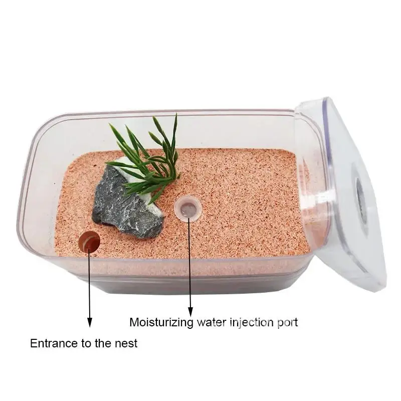 Ферма муравьев из штукатурки с мастерской высокоувлажняющее муравьиное гнездо
