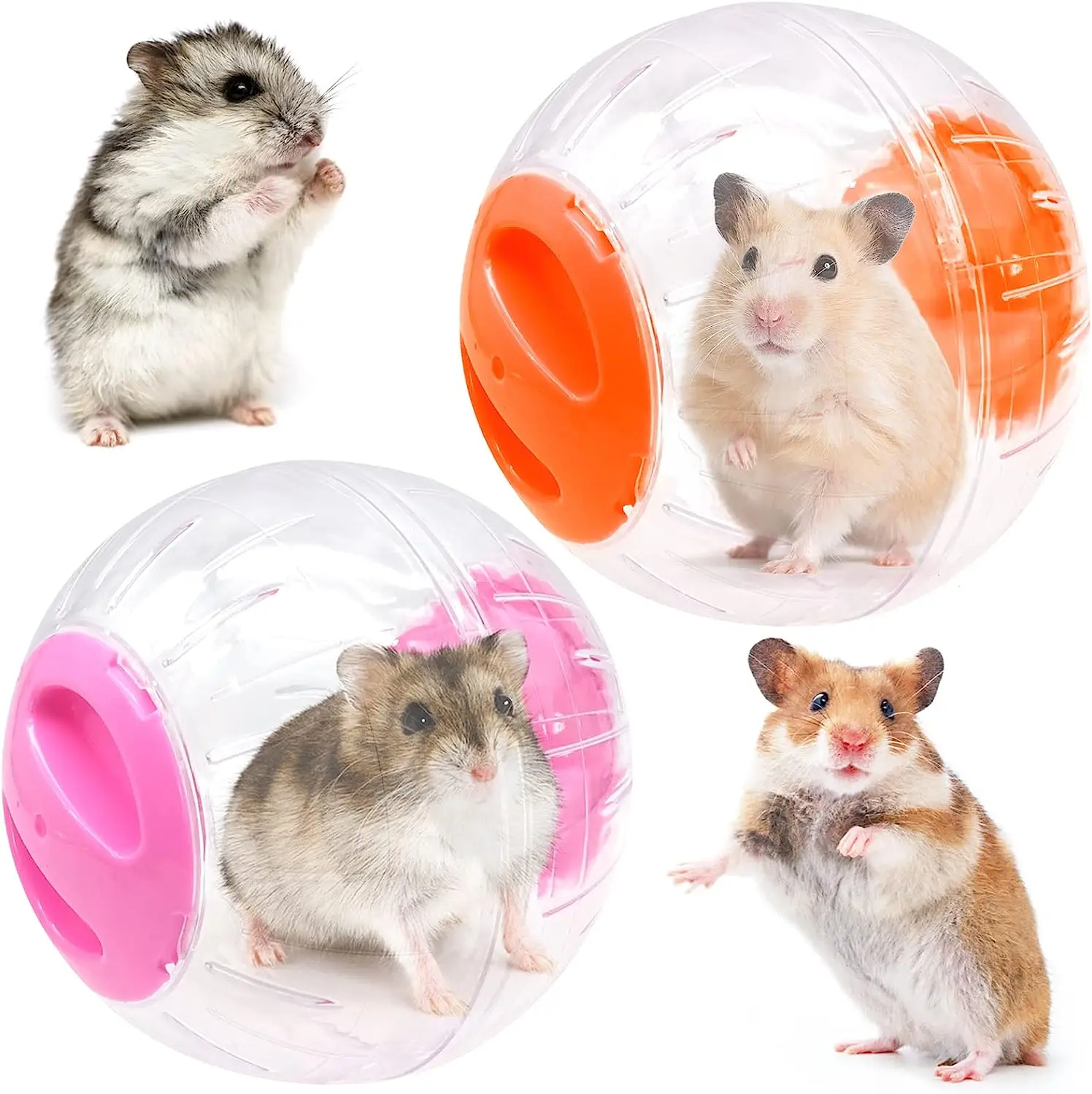 

Hamster Sport Ball Grounder Rat Small animal Pet Rodent Mice Jogging Running Hamster Gerbil Exercise Balls Play Toys Accessories