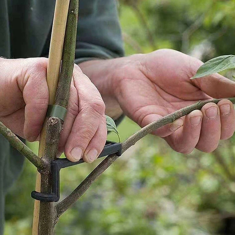 20 шт. съемник ветвей садовые растения опорная рама фруктовых деревьев