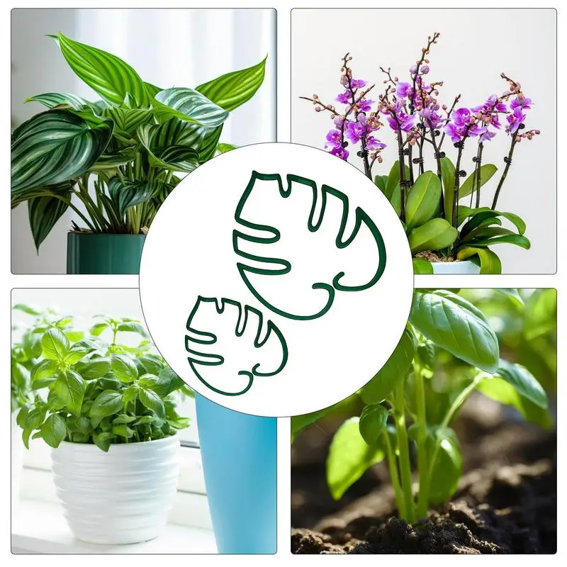 Подставка Monstera в форме черепахи для поддержки растений подставка Moss Pole Grapple