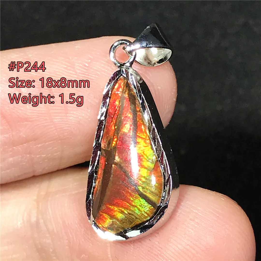 

Necklace Pendant Natural Red Ammonite Ammolite Crystal Jewelry For Women Man Healing Luck 18x13mm Beads Silver Stone Gemstone