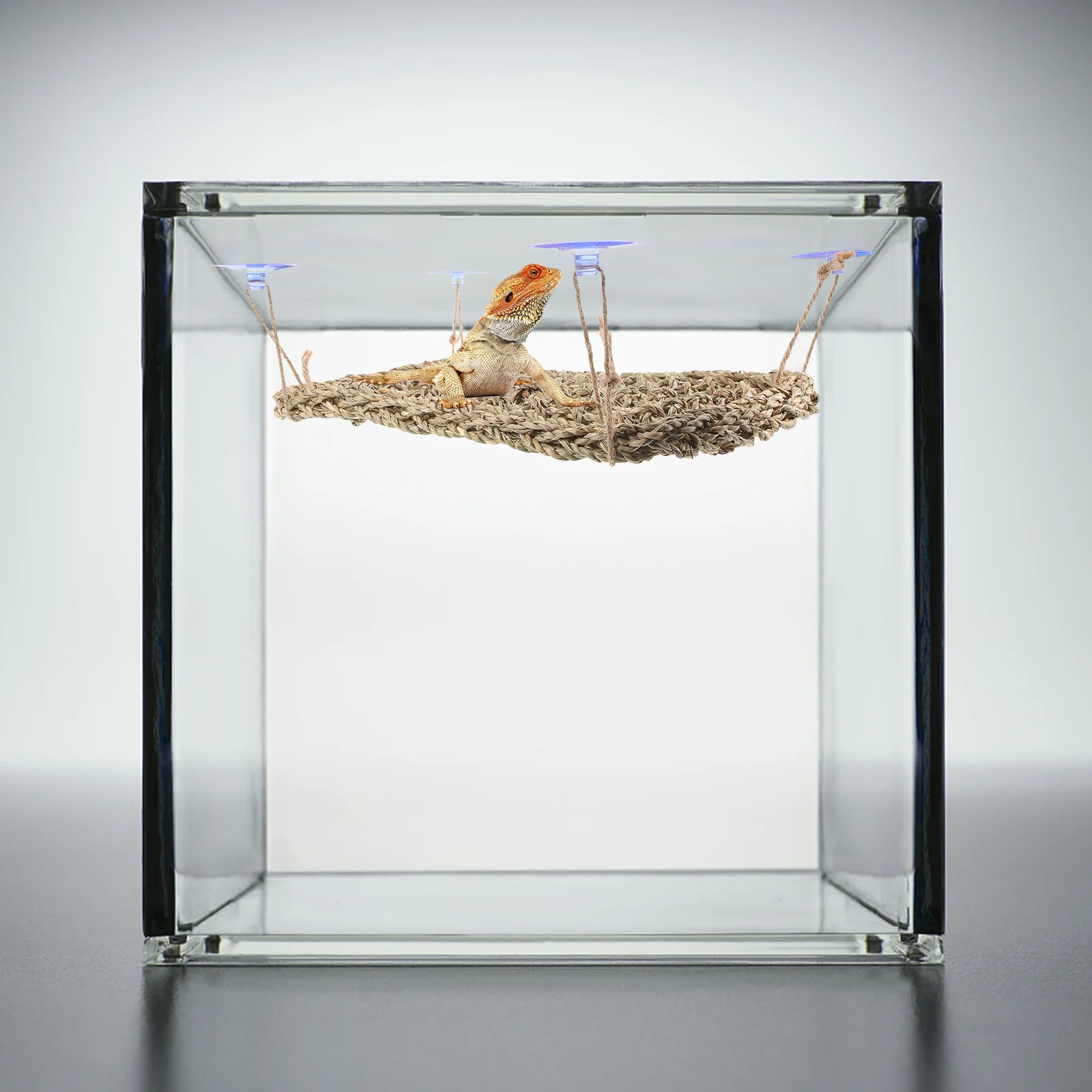 

Reptile Lizard Bearded Dragon Hammock Reptile Climbing Lounger Natural Seagrass Hammock