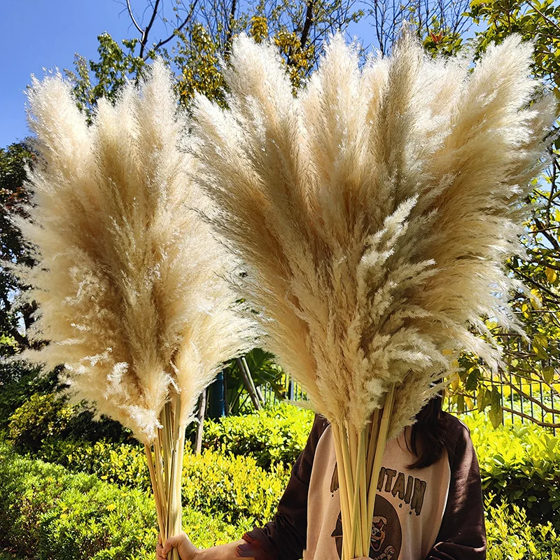 

Large Dried Pampas Grass Flower Bouquet Boho Wedding Arch Decor Artificial Pampas Tall Fluffy Stems Living Room Home Decorations