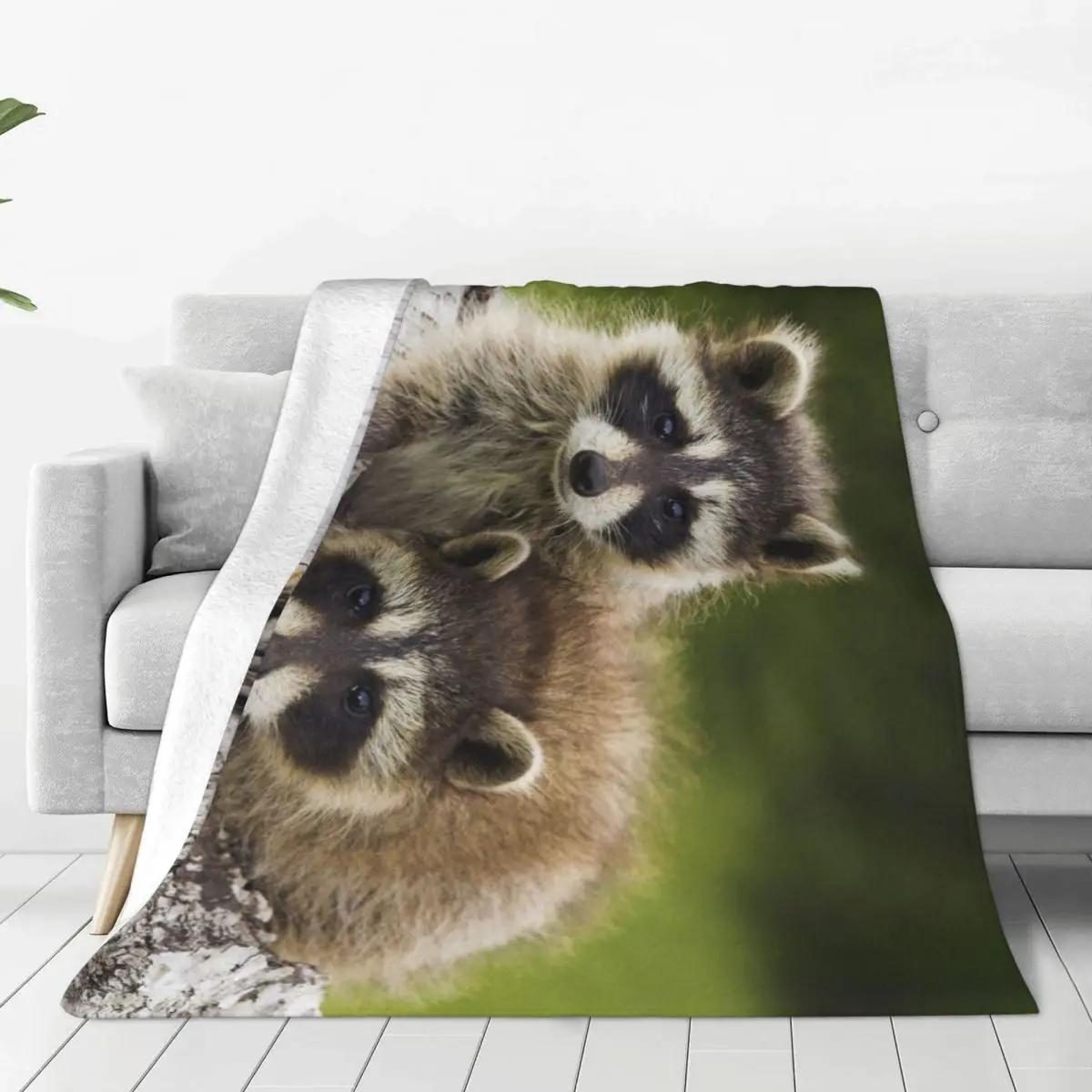 

Raccoons Couple Timber Walk Soft Flannel Throw Blanket for Couch Bed Warm Blanket Lightweight Blankets for Sofa Travel Blanket