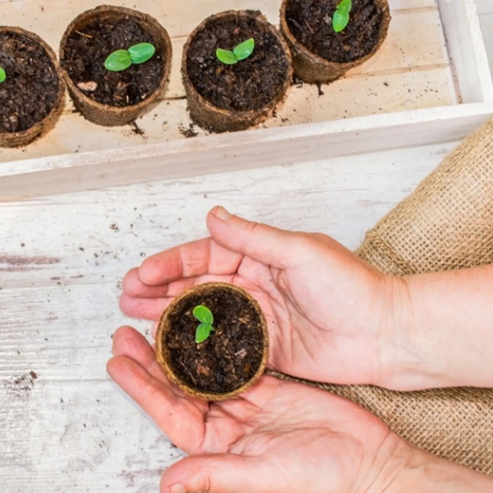 

Biodegradable Plant Pots Nursery Plant Pots With Labels And Plant Tools Biodegradable Plant Starter Pots For Vegetable Herb