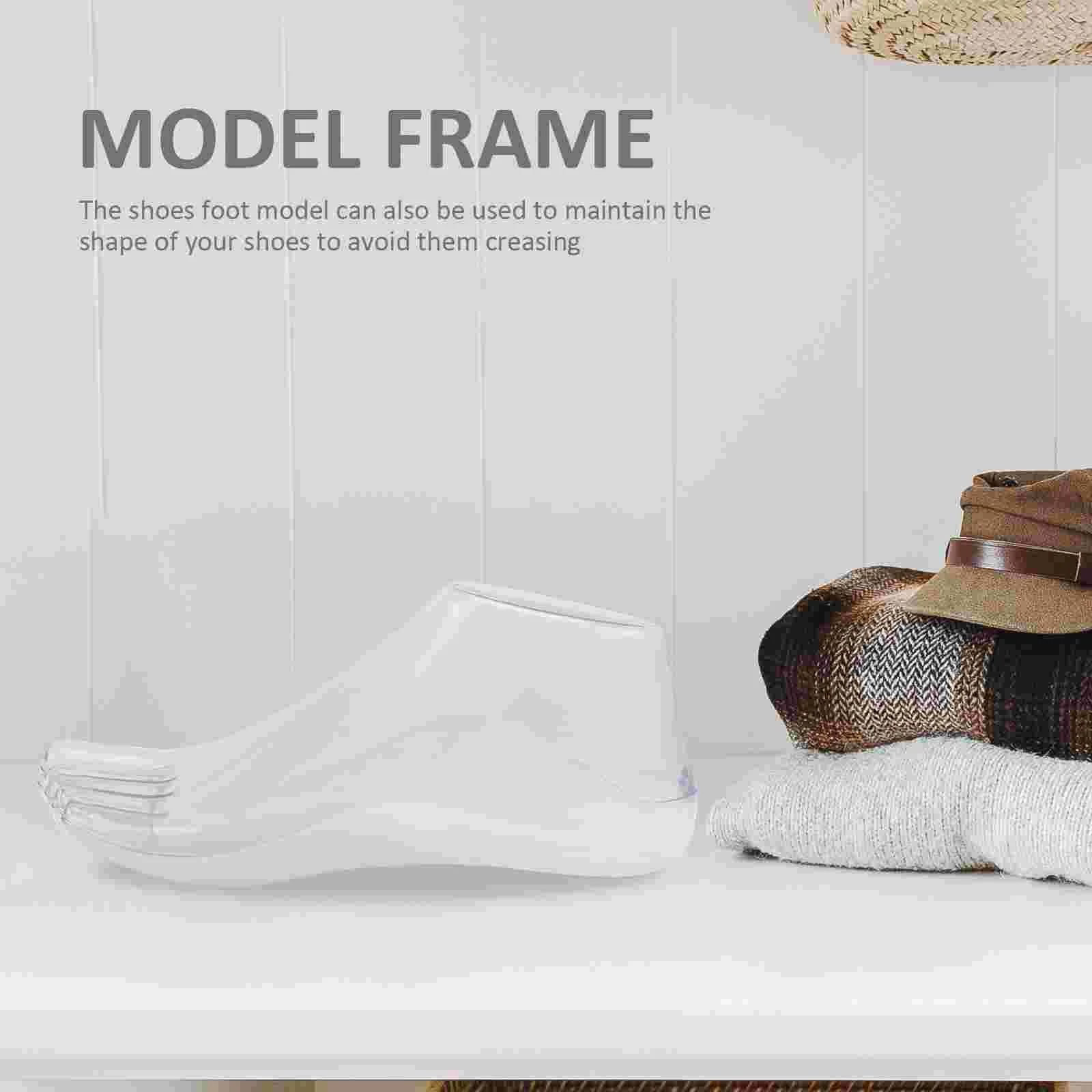 Рисунок 6 - Модель ног, прозрачная подставка для монитора