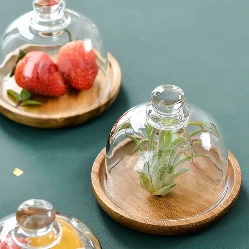 Деревянный Поднос Для Десерта Со Стеклянным Куполом Многофункциональная