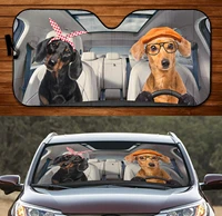 long haired dachshund dog driving summer car sunshade long haired doxie couple driving auto sunshade car windshield