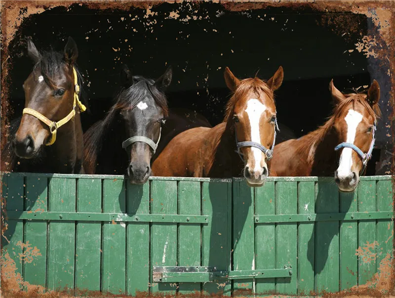 

Жестяная вывеска для украшения дома гостиной винтажный декор для коров бордюр колли цыплята винтажная металлическая пластина настенные по...