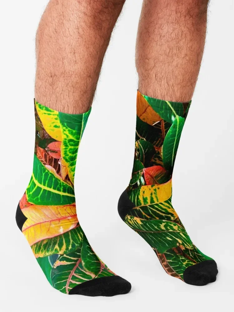 Экзотические носки с зелеными желтыми красными листьями кротонами растениями